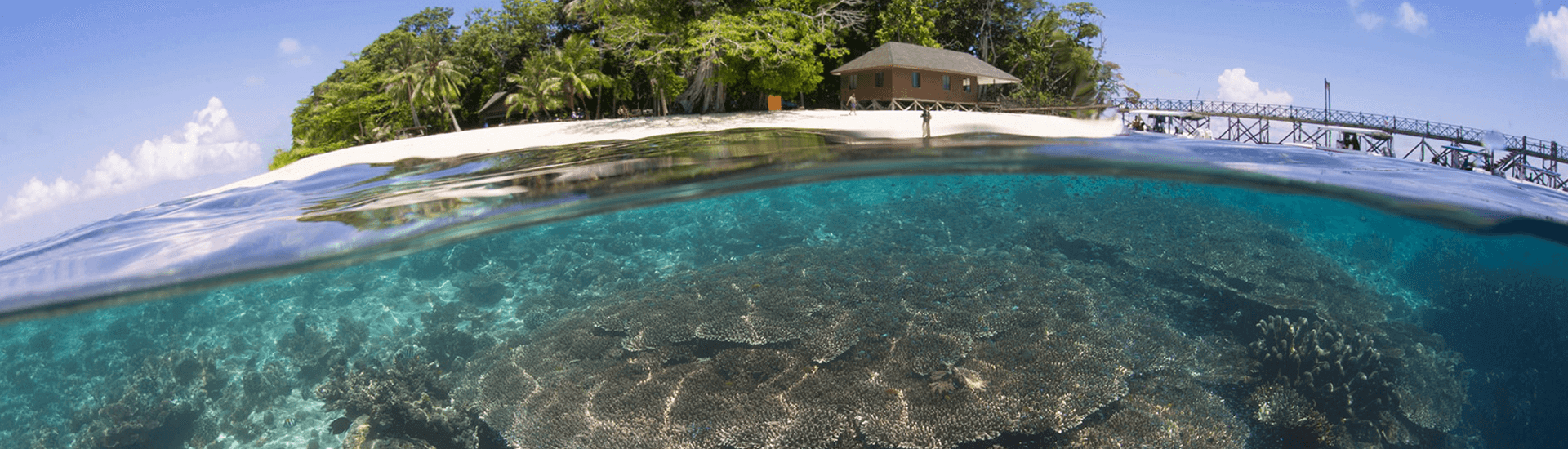 Malaysia: Above and Below