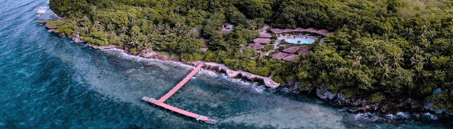 Top 5 Special Creatures at Magic Point