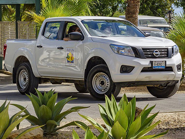 Families can use a rental truck to explore the island and access dozens of child-friendly shore diving sites.