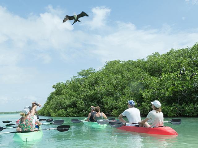 Kayak tours of Lac Bay are a favorite family activity.