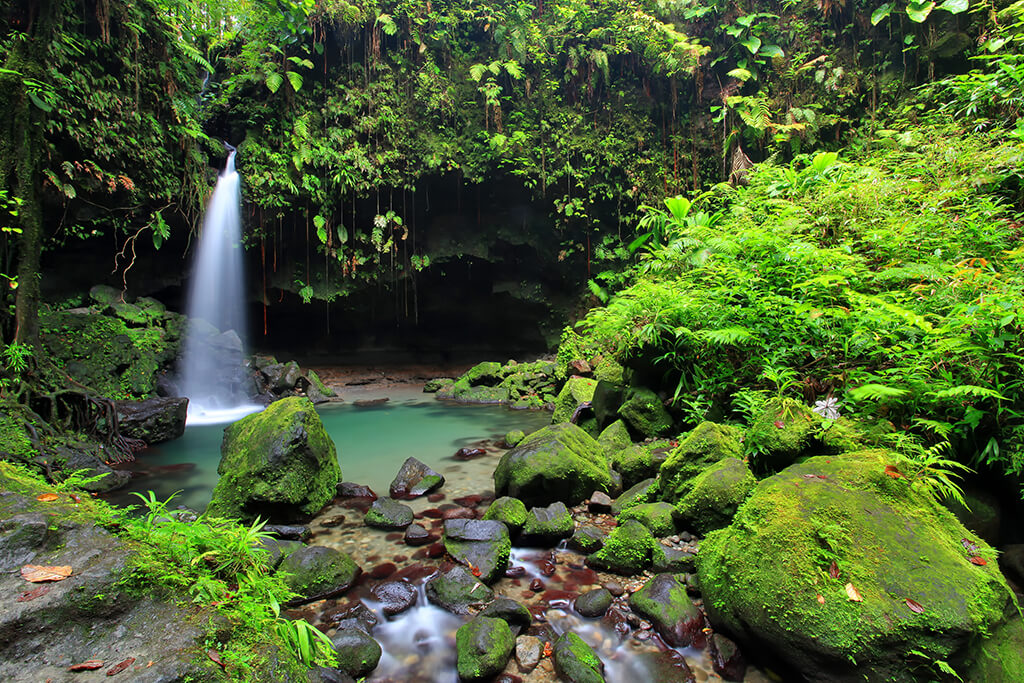 The Emerald Pool is one of Dominica's most popular waterfalls.