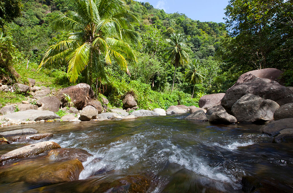 The Perdu trail follows the White River before climbing into the mountains.