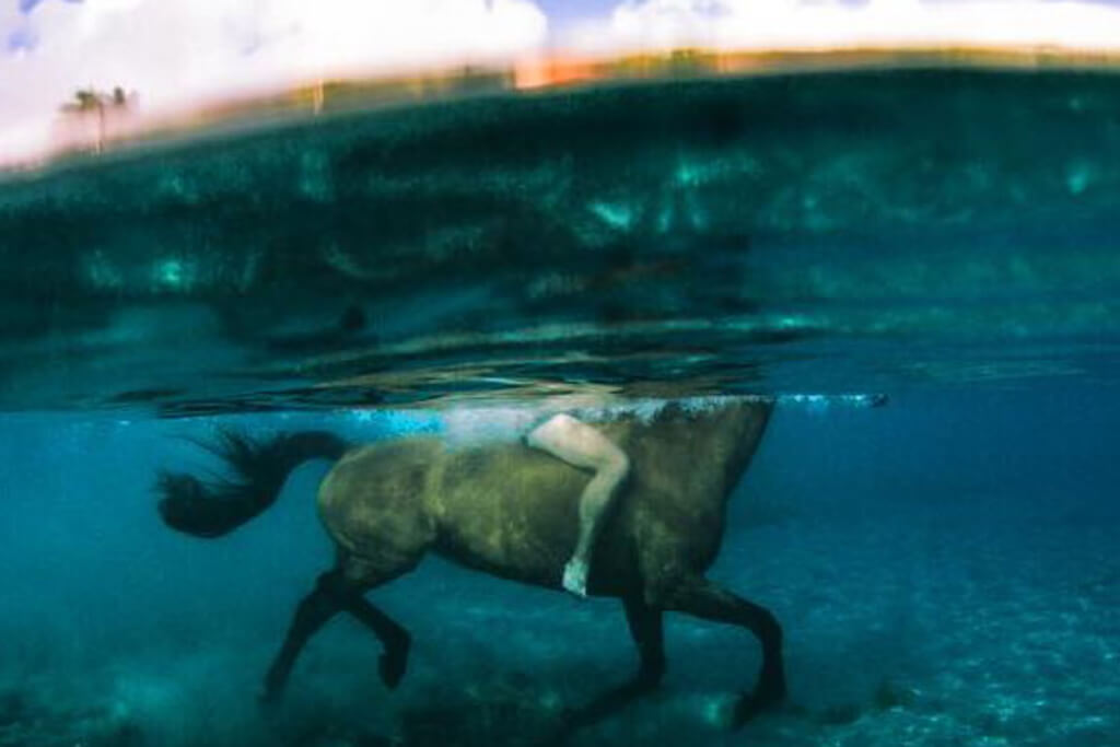 Horse and rider cool off in the waters of Douglas Bay.