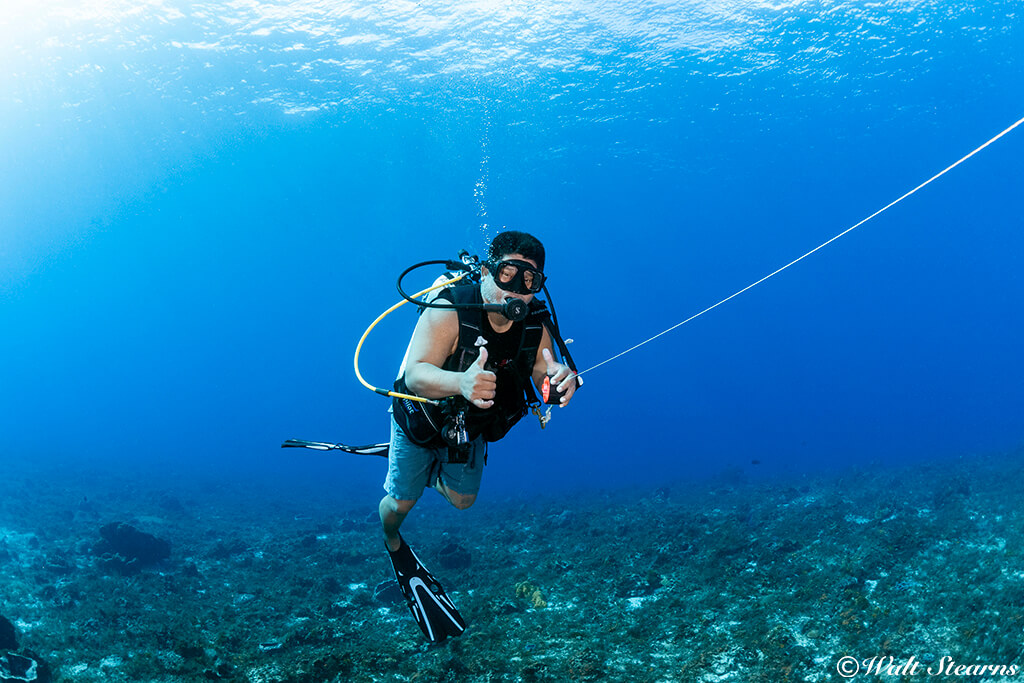 Cozumel dive guides typically carry surface markers on up lines to mark the group's position.