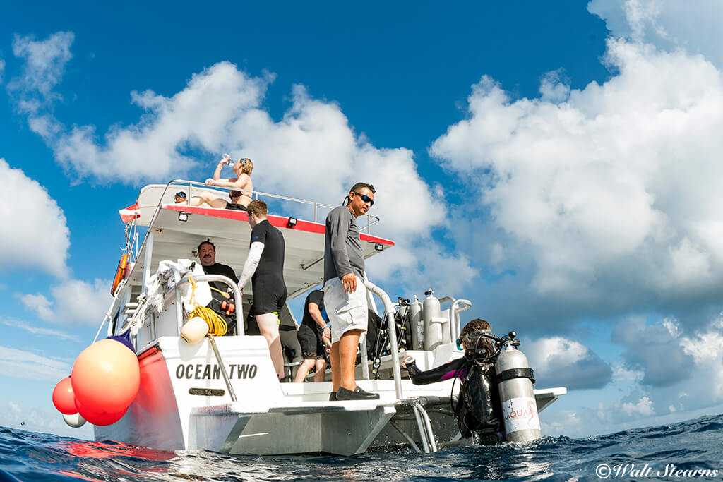 At the end of the dive, the boat comes to you, making exits fast and easy.