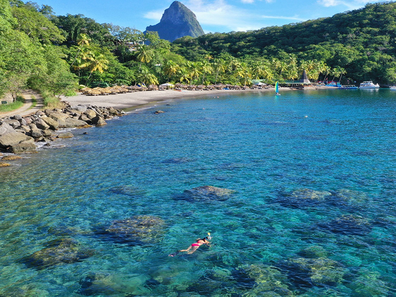 The colorful Anse Chastanet Reef begins just yards from the beach.