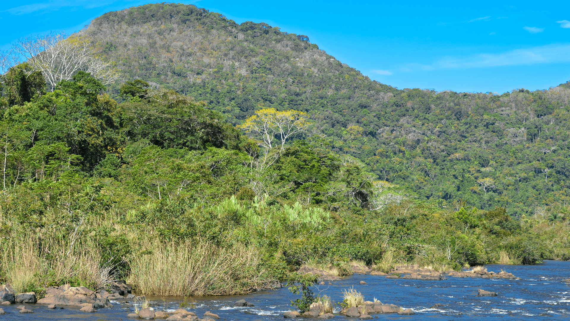 Landscapes on the border of remote and hard to reach Mountain Pine Ridge Forest Reserve and Chiquibul Nature Reserve in Belize
