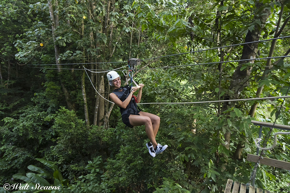 Ziplining in St. Lucia