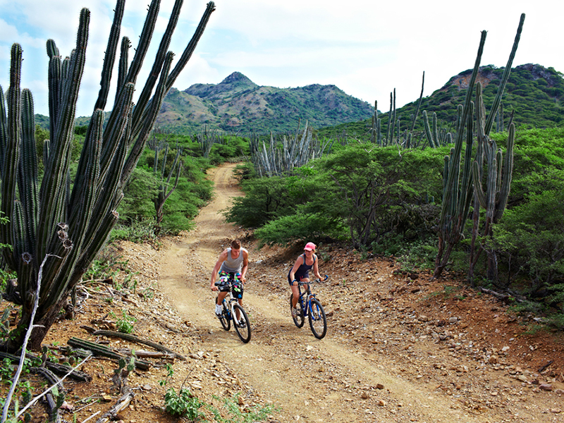Mountain bikes are ideal for exploring the unpaved roads of Washington-Slagbaai National Park.