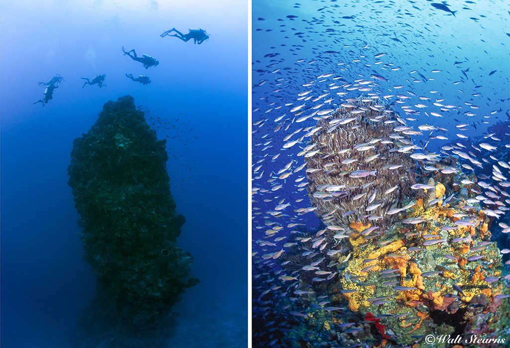 The Eye of the Needle is a volcanic spire that rises more than 80 feet above the ocean floor.