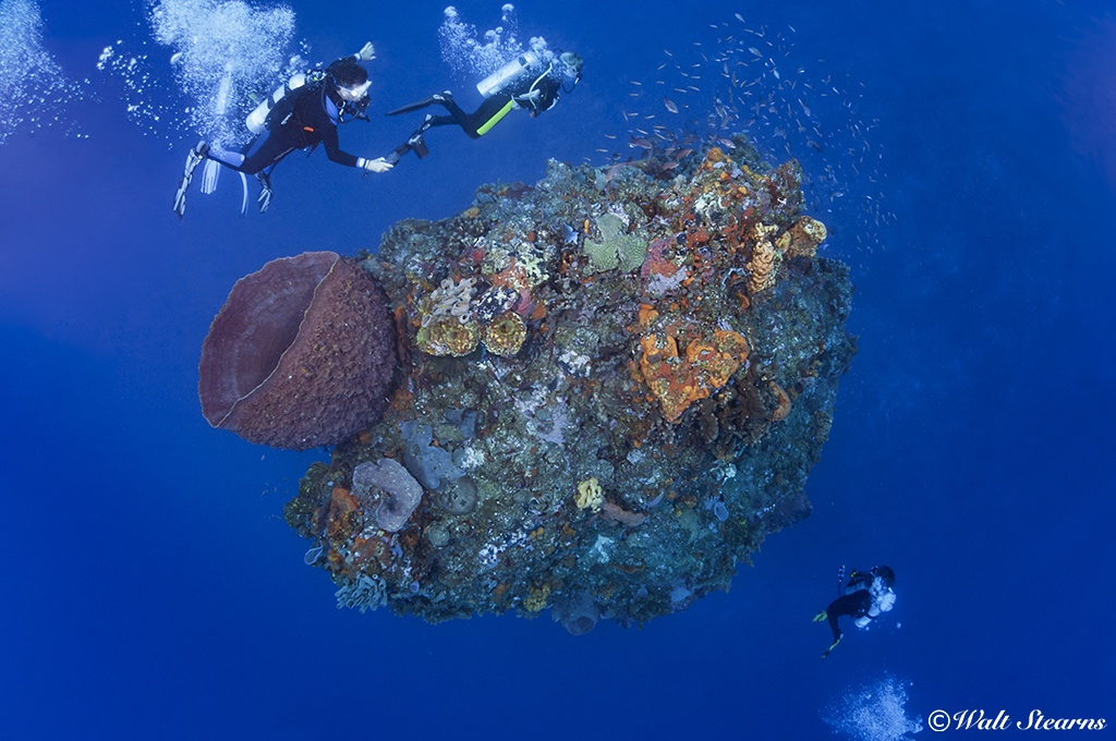 An overhead view of the eye of the needle reveals the slender nature of this unique pinnacle, which is just 20 feet across at its widest point.