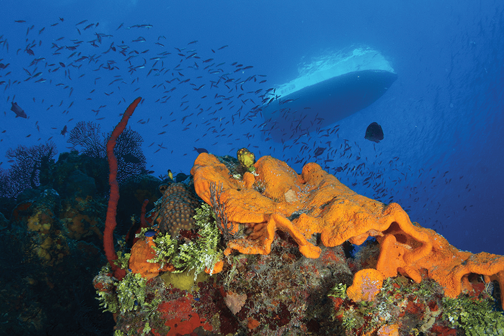 A dive boat floats in the clear waters above the West End dive site known as Orange Canyon.