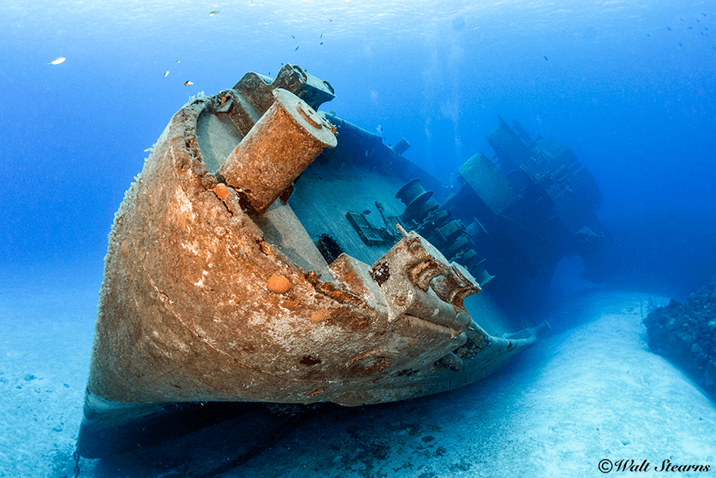 Tipped on its port side by storm surge, the Kittiwake remains the Cayman Island's premier wreck dive.