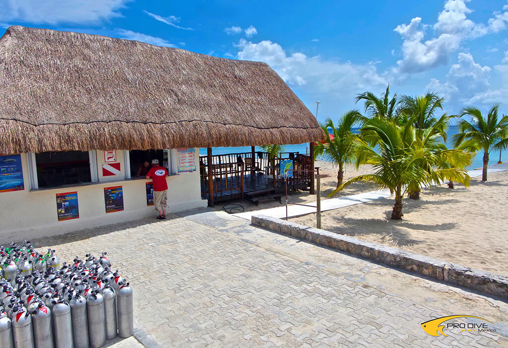 A full-service Pro Dive shop is located on the beach at Allegro Cozumel.