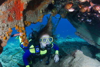 A diver peers into the wreck of the Superior Producer, which is located near the Mangrove Beach hotel in Curaçao.