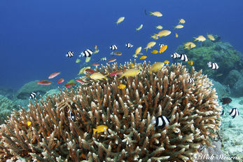 Beyond the Muck in the Philippines