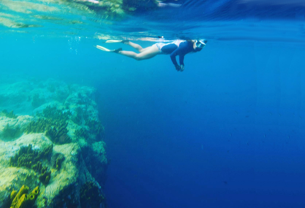 A snorkeler hovers on the edge of a sheer drop that is typical of the pinnacles and walls found in the Scott’s Head Marine Reserve.
