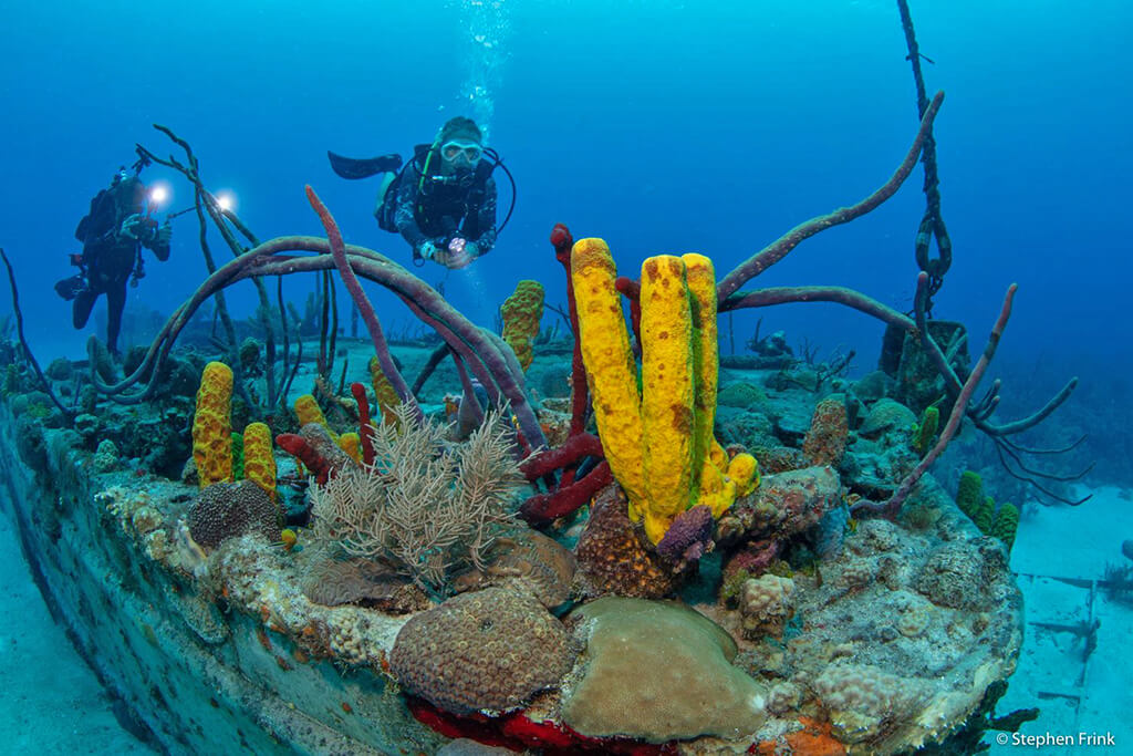 There are numerous shallow wrecks to explore, including the David Nicholson, which can be accessed from shore.