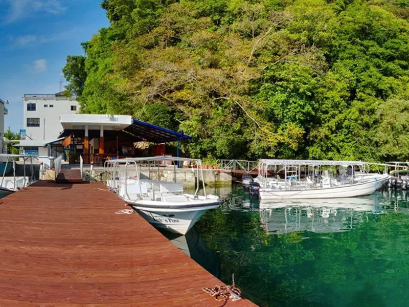 The Fish 'n Fins shop is located in a small bay on Koror Island.