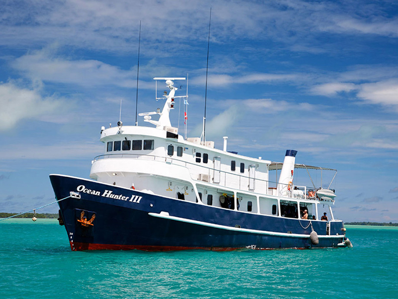 The Ocean Hunter III delivers a premier liveaboard experience.