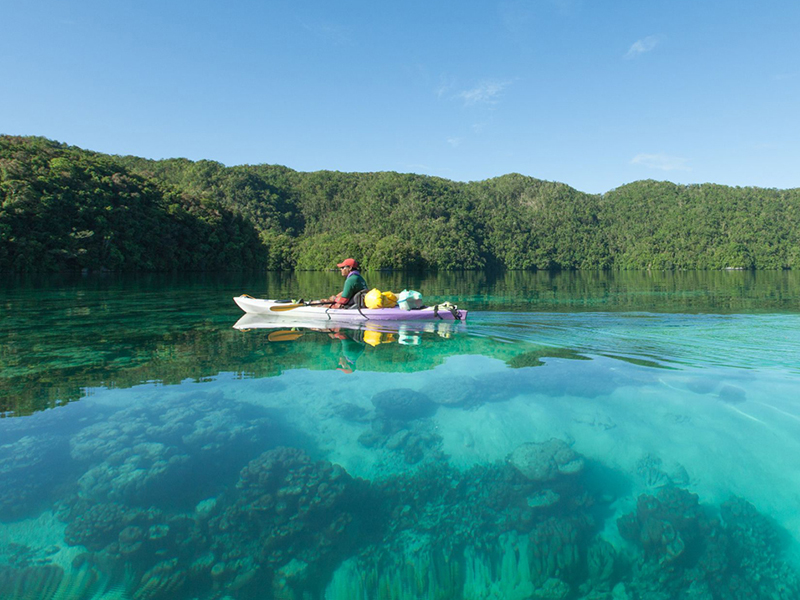 Shark encounters are common at sites such as the famous Blue Corner.