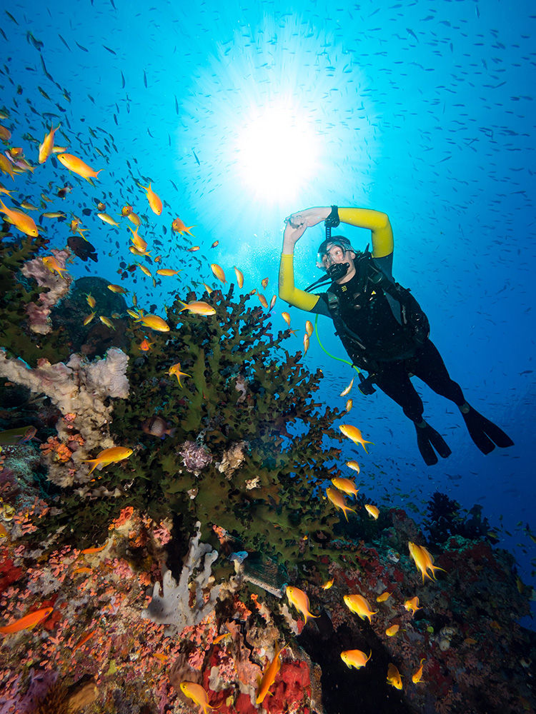 Pristine coral reefs are just a short boat ride away from Tufi Dive Resort.