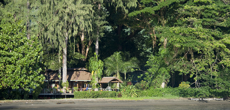 Walindi Plantation Resort sits on the shores of New Britain's coral-rich Kimbe Bay.