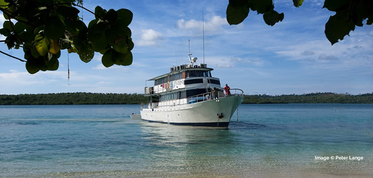 The liveaboard dive vessel FeBrina is based at Walindi Plantation Resort.