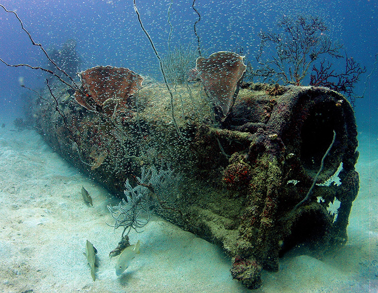 The waters of PNG hold reminders of the Second World War, including downed aircraft.