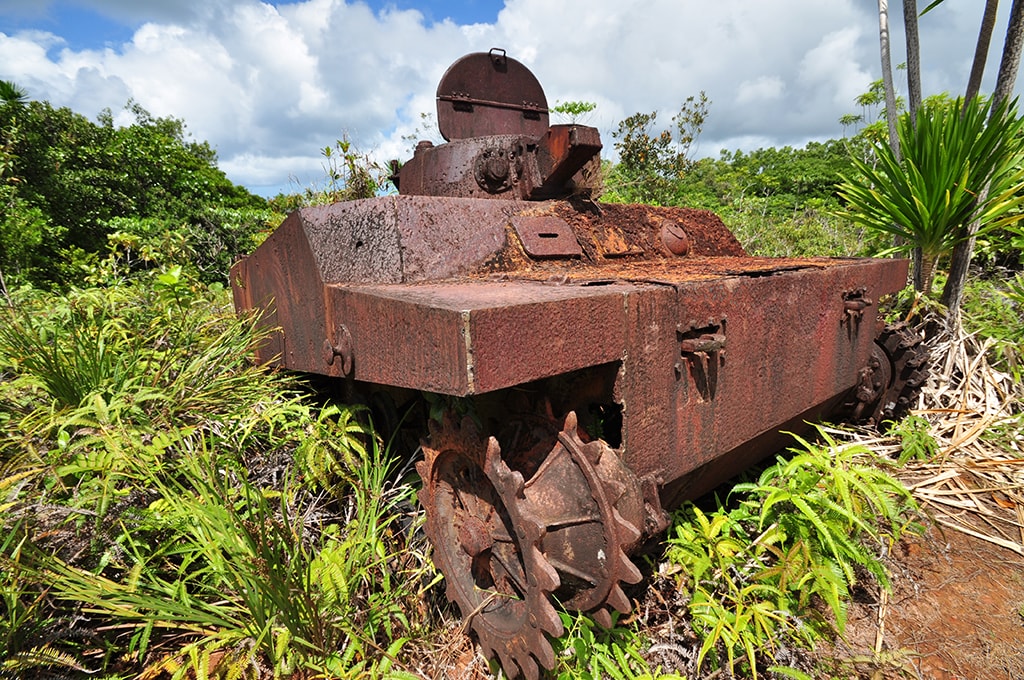 Palau's jungles hold historical artifacts from the Second World War.