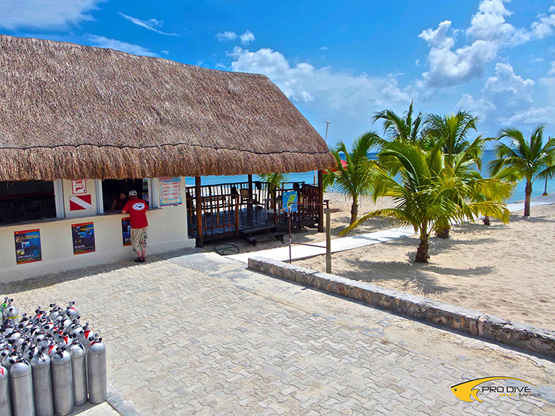 Pro Dive International operates a full-service dive shop on grounds of Allegro Cozumel Resort.