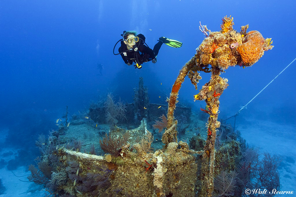 A diver hovers over the bow of the 110-foot wreck of the Cornerbach.