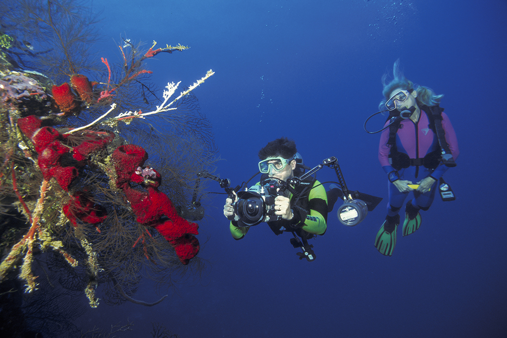 Scuba divers admiring a collection of red vase sponges on the wall off East End.