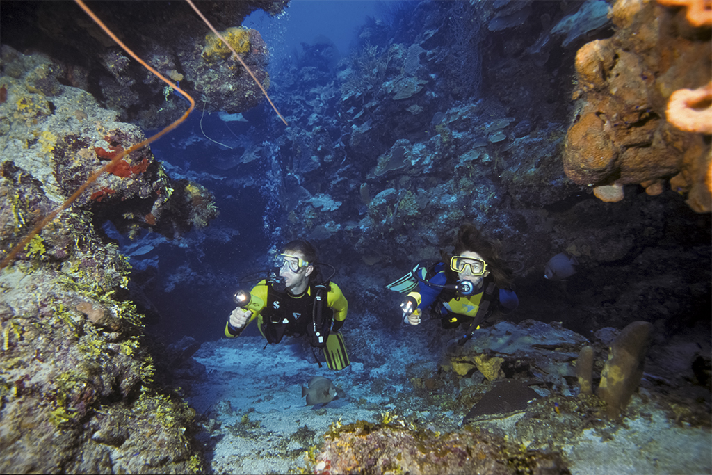 On sites like Snapper Hole, divers can explore deep ravines with walls 20 to 30 feet high in the 40- to 60-foot depth range offering a maze-like networks of tunnels, caverns and arches winding through the reef.