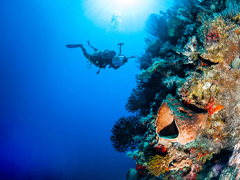 Pinnacles in Lintah Strait are washed by tidal currents.