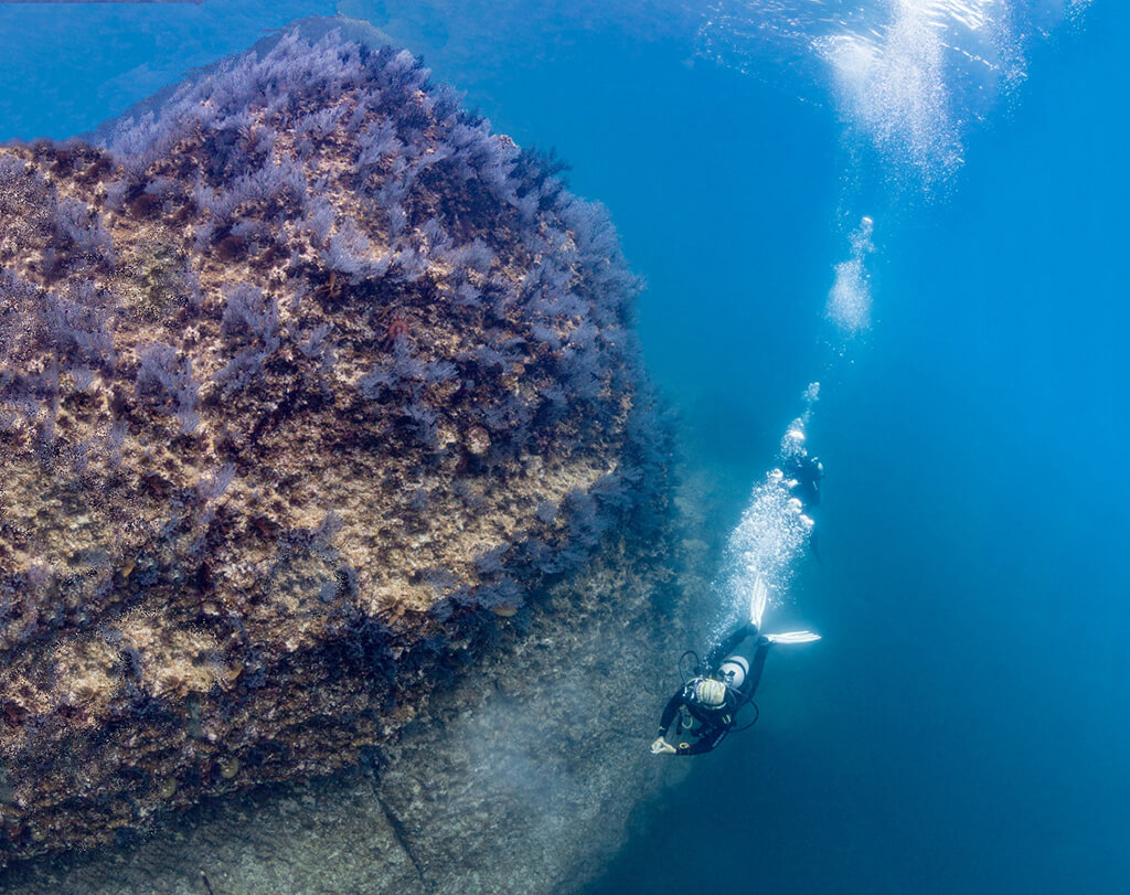 Underwater landscapes created by volcanic forces provide dramatic walls and pinnacles for divers to explore.