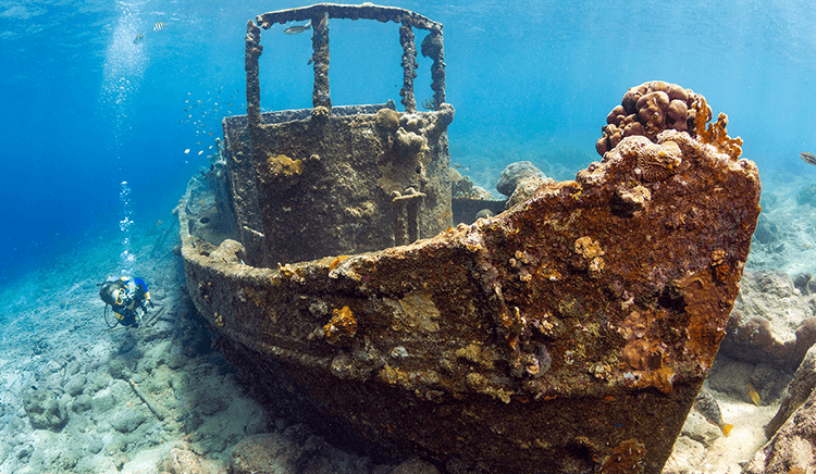 The tugboat wreck is a favorite shallow site.