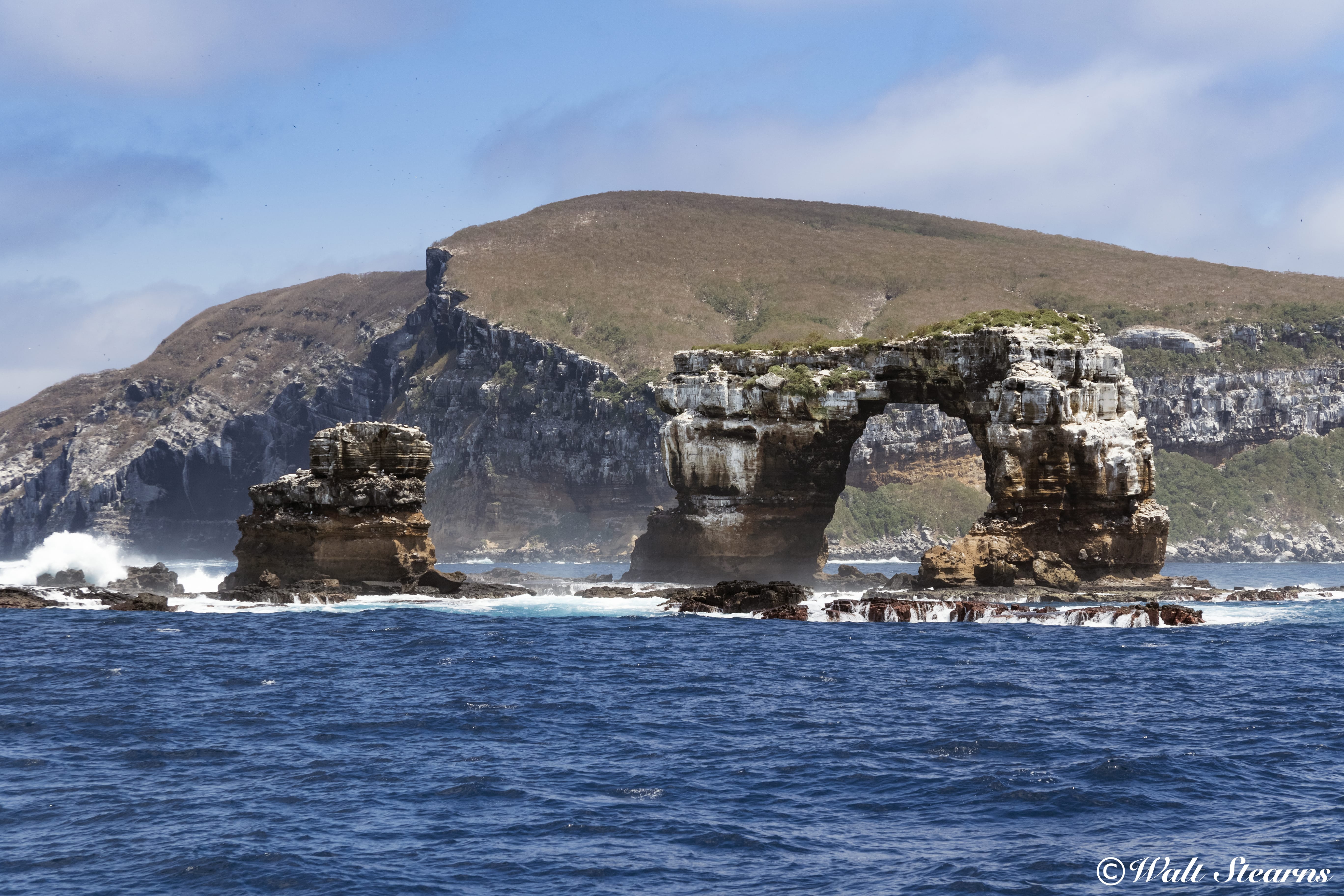 Just off the shore of Darwin Island, the rock formation known as the Arch sits at the convergence of ocean currents and coastal surge, creating a dynamic underwater environment.
