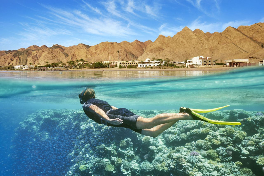 Minimal rainfall and the absence of rivers flowing into the Red Sea contribute to excellent water clarity.