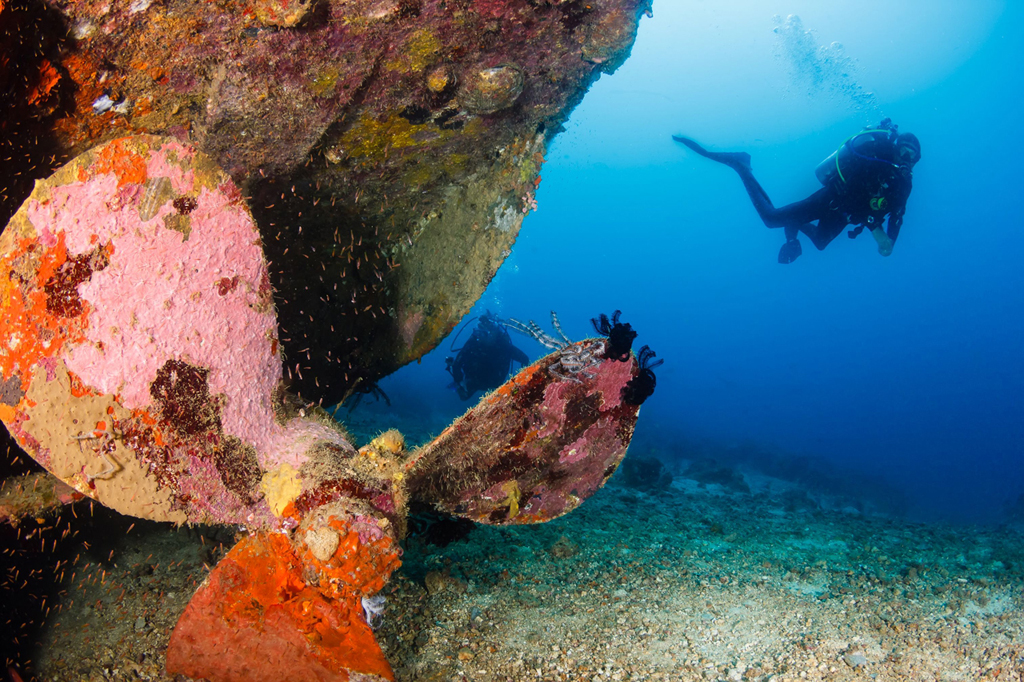 Divers can visit dozens of historic shipwrecks in the northern and central Red Sea