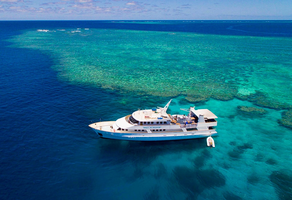 The Spirit of Freedom carries divers to prime areas of Australia's Great Barrier Reef that are beyond the scope of land-based day boats.