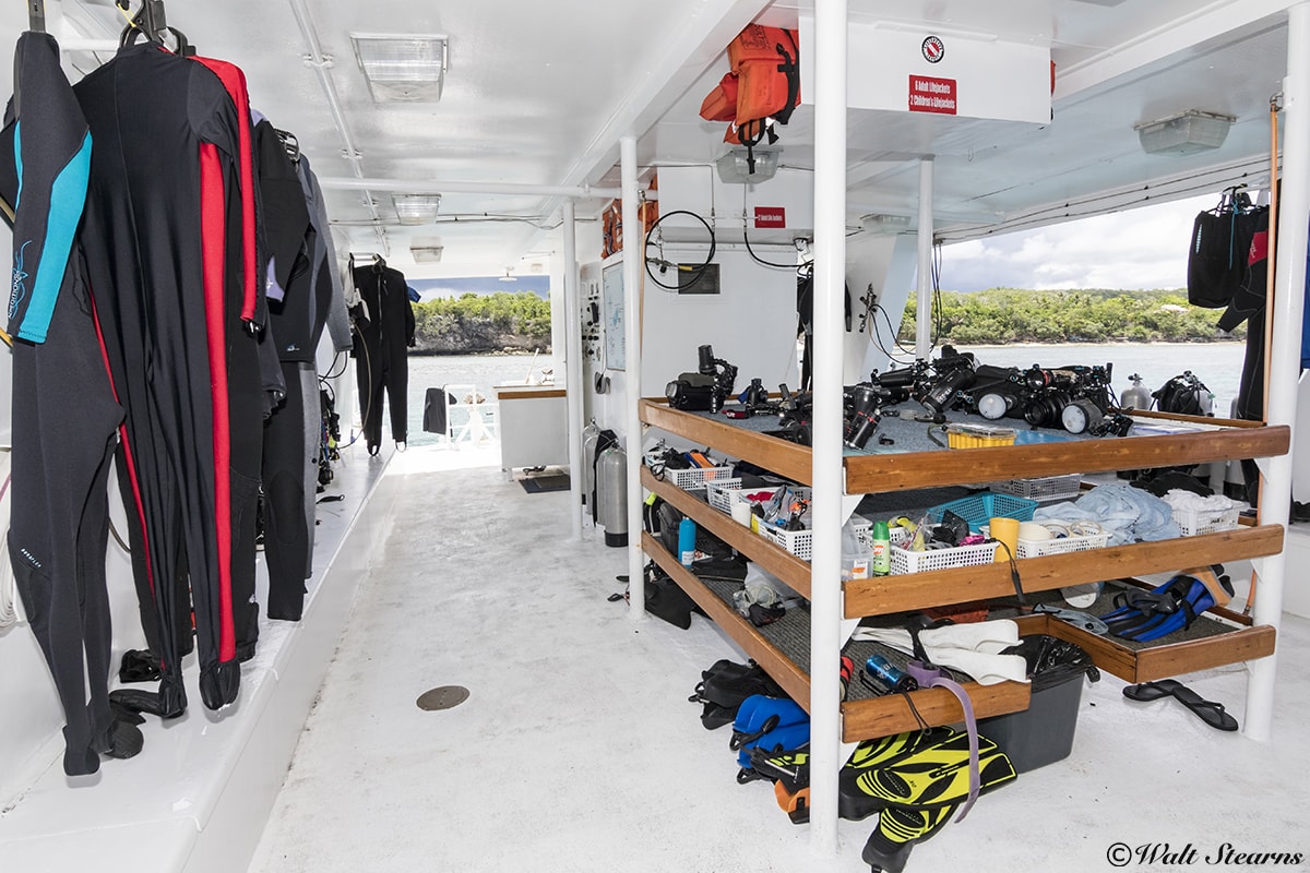 Large, covered dive decks and personal gear storage spaces are the norms on liveaboards.