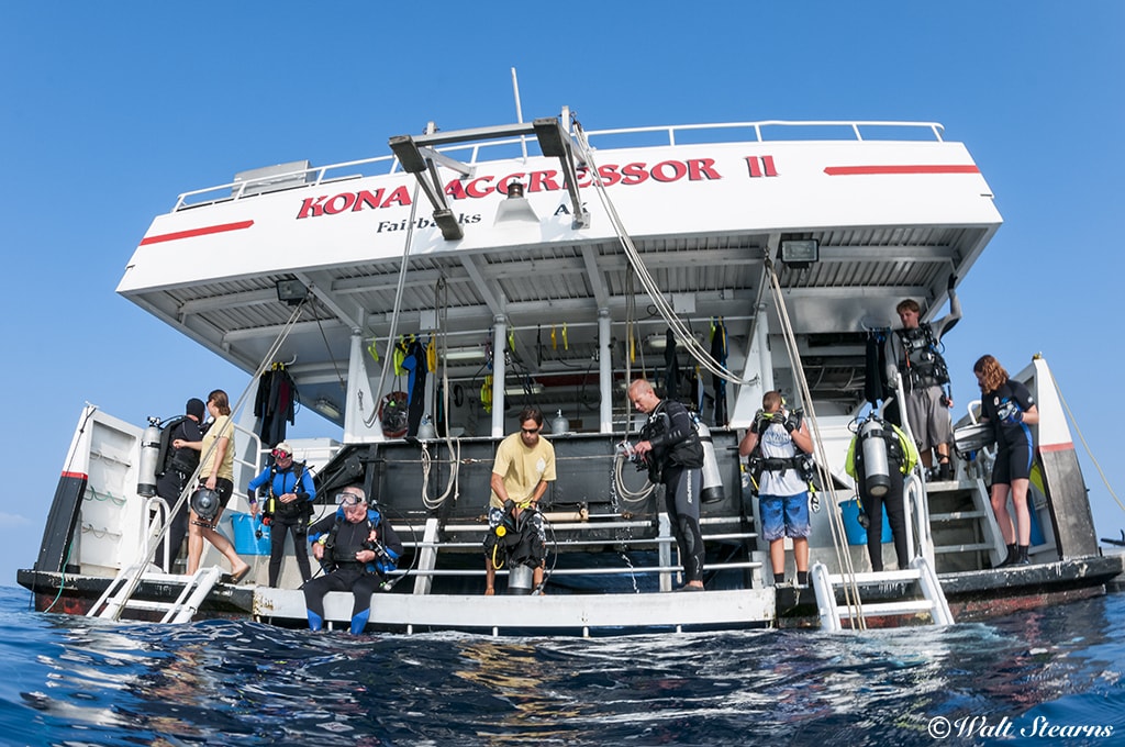The stable swim platform and sturdy ladders of the Kona Aggressor II allow for easy water entry and exit.