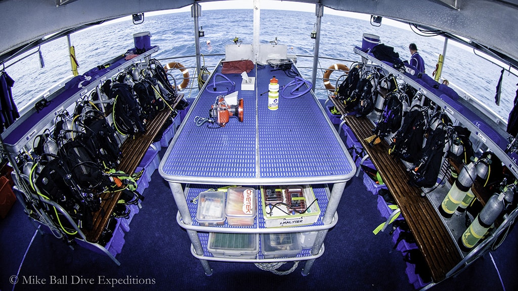 The additional width created by Spoilsport's twin-hull design allows space for two separate dive benches and a central camera table.