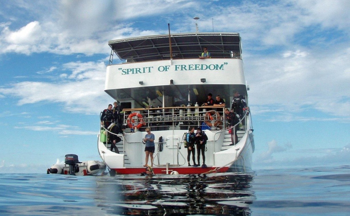 Dual stairways lead from the dive deck of the Spirit of Freedom to the water-level platform. A majority of divers are staged in this manner as the boat rests on a mooring.