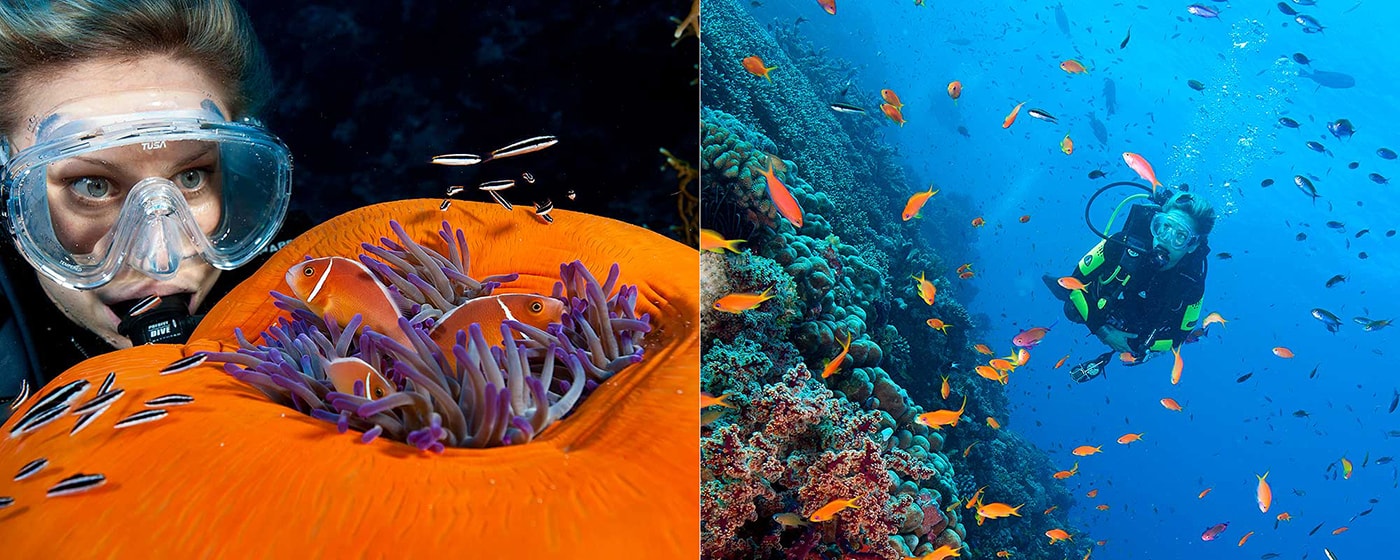 Thanks to excellent visibility and thriving reefs, you can take in the small stuff and also admire the big picture when diving aboard the Spirit of Freedom.