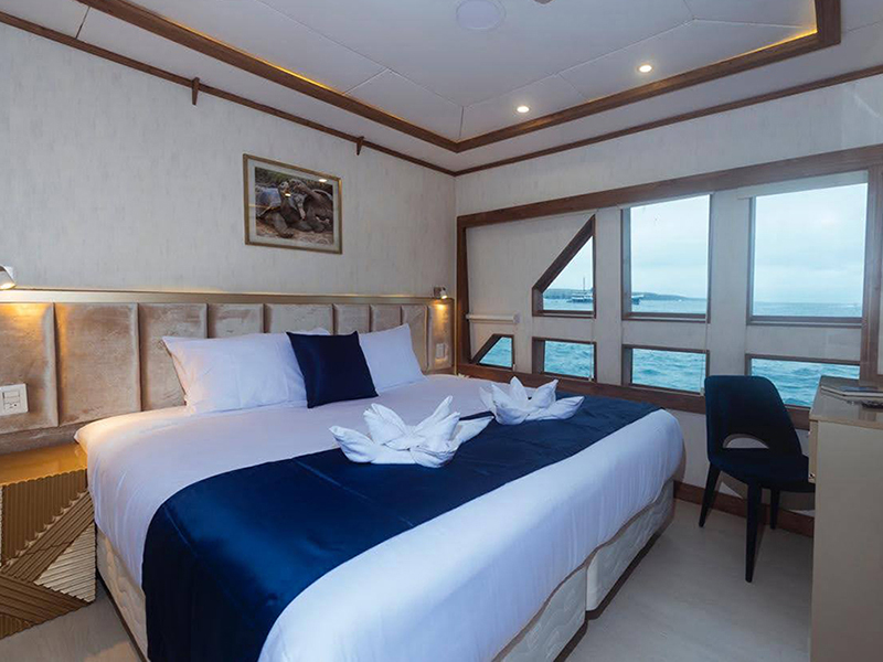 All cabins have large windows.