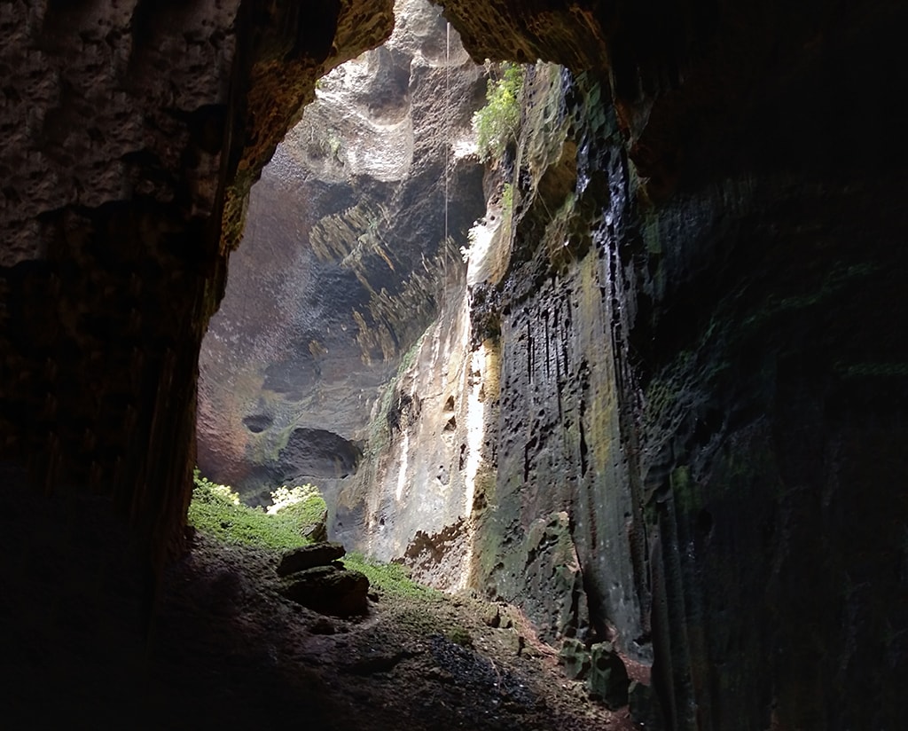 The soaring chambers of the Gomantong Caves are home to thousands of nesting starlings.