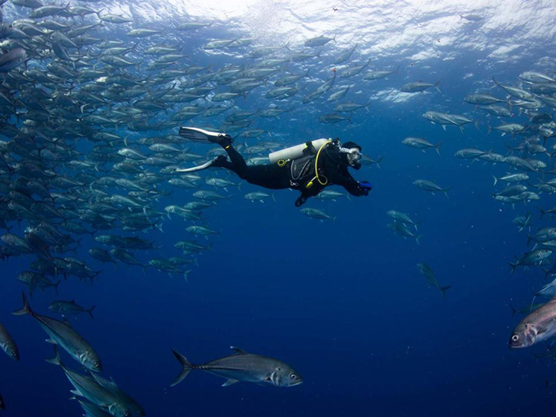Costa Rica translates to “the rich coast,” and that's an apt description for waters that teem with fish life.