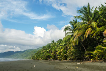 Combination trips include stops at sites such as Corcovado National Park.  
